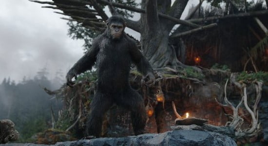 Film Planet of The Apes Akan Dibuat Hingga Film Kelima Film Planet of The Apes Akan Dibuat Hingga Film Kelima
