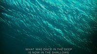 theshallows2016